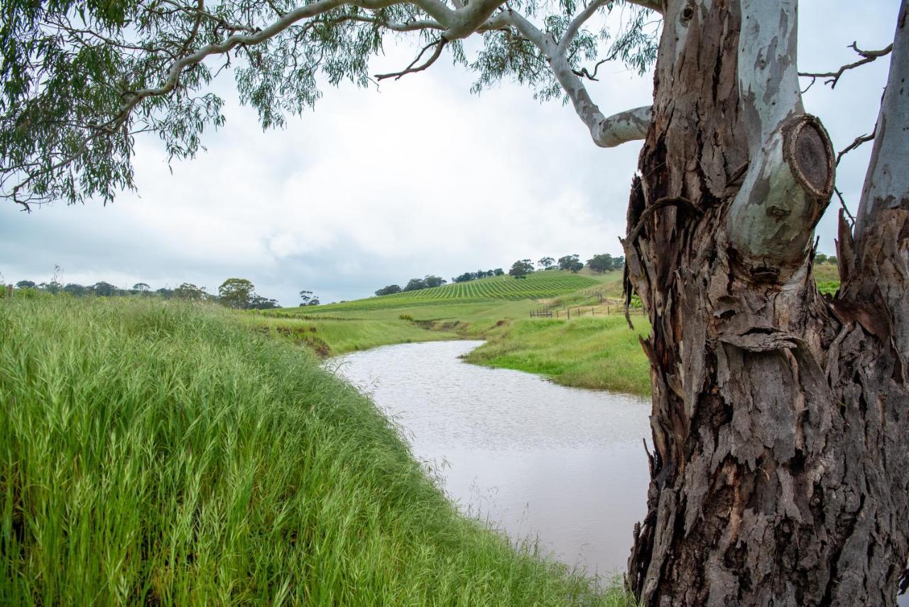 Triple Creek Guest House - Barossa Region Seppeltsfield Экстерьер фото