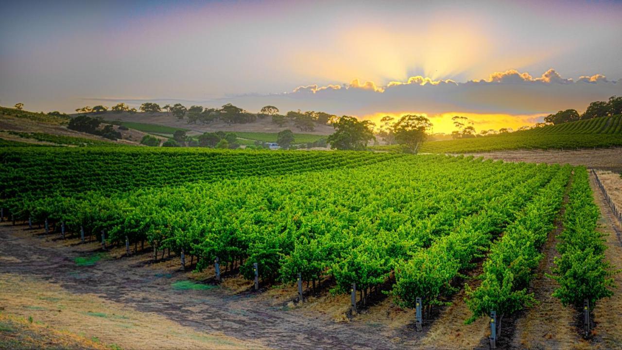 Triple Creek Guest House - Barossa Region Seppeltsfield Экстерьер фото