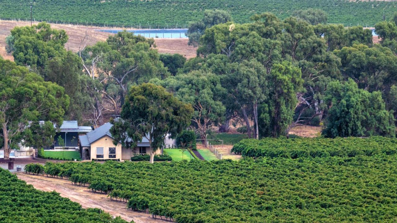 Triple Creek Guest House - Barossa Region Seppeltsfield Экстерьер фото